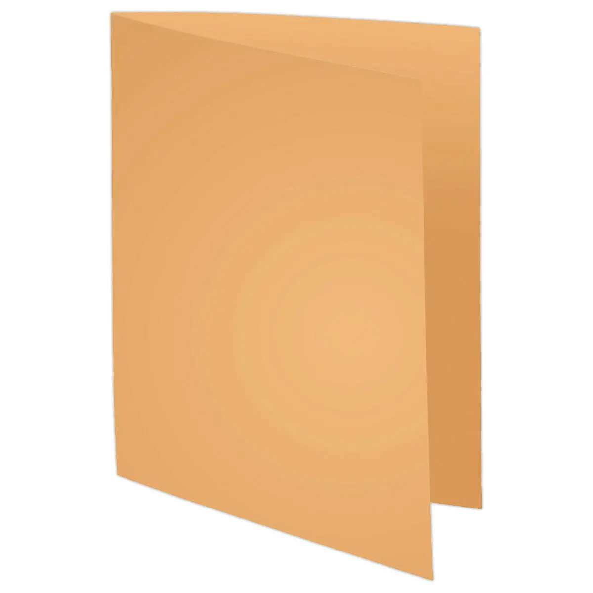 100  Pastelkleurige mappen FIDUCIAL 24x32 cm - 220 g 