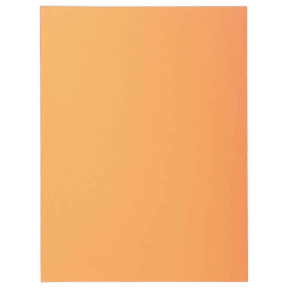 100  Pastelkleurige mappen FIDUCIAL 24x32 cm - 220 g 