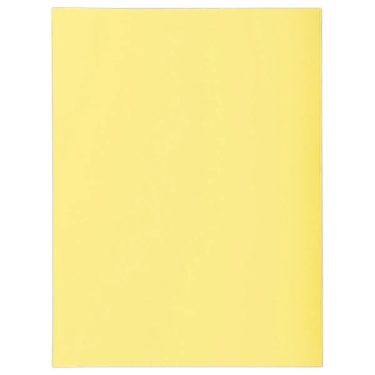 100 Pastelkleurige mappen FIDUCIAL 24x32 cm - 220 g