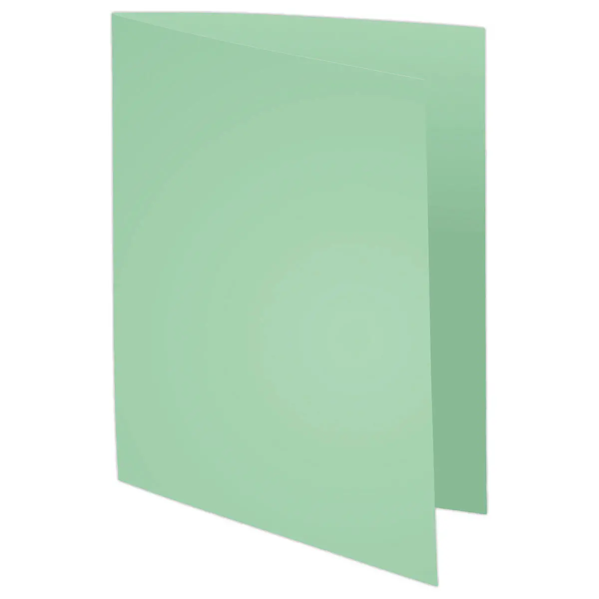 100 Mappen A4+ - Pastelgroen - 220g - FIDUCIAL OFFICE SOLUTIONS
