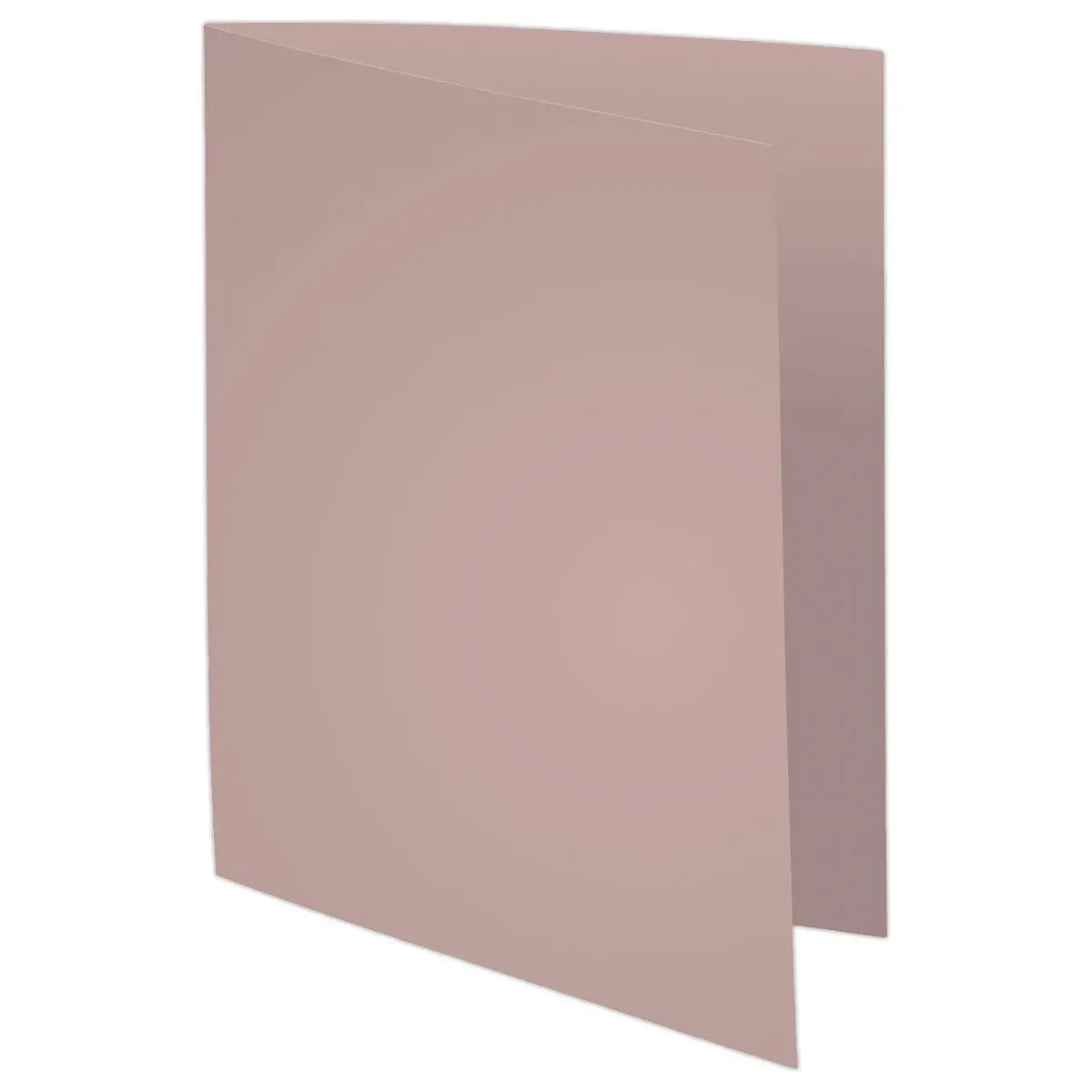 250  Pastelkleurige inlegmappen FIDUCIAL 22x31 cm - 60g 