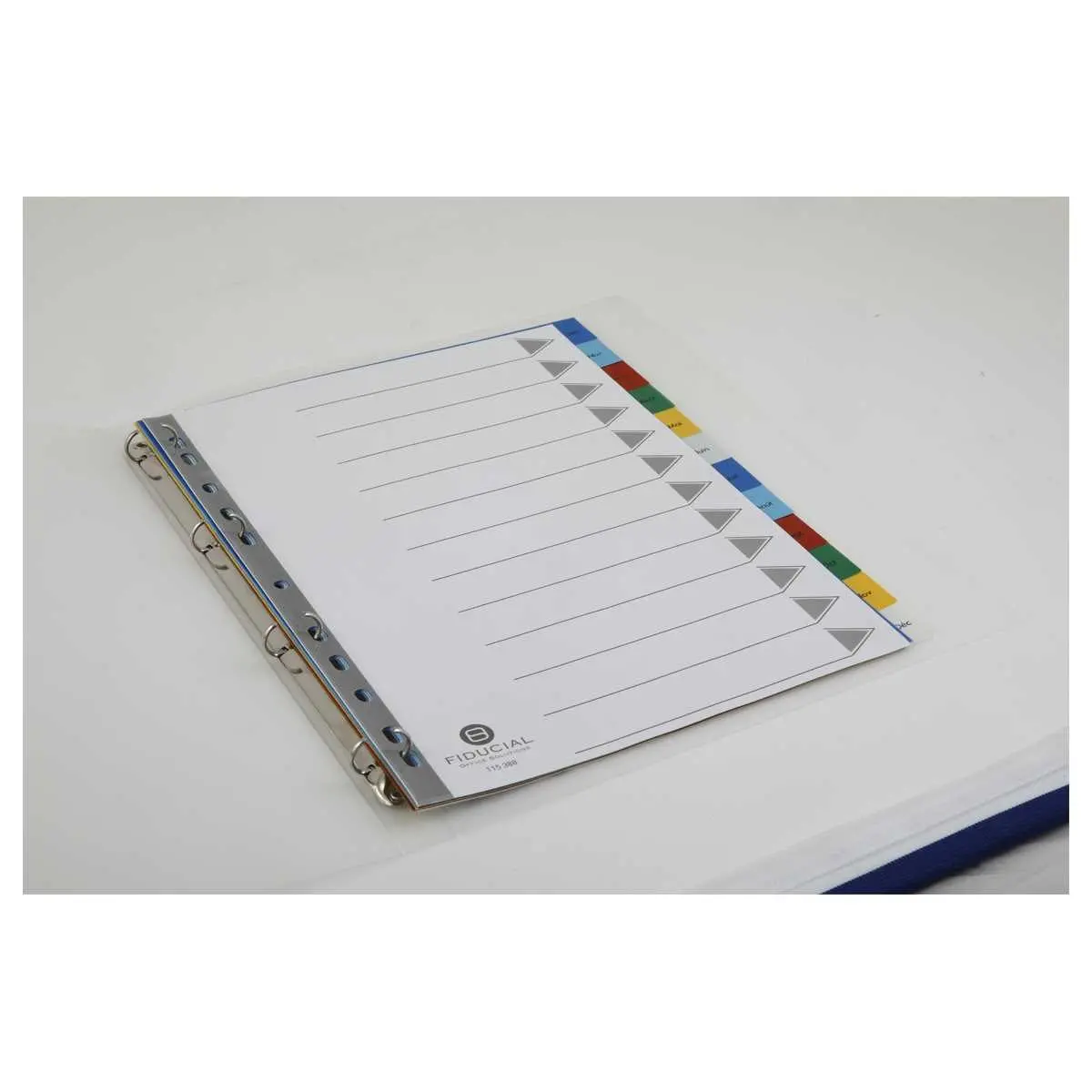 Maandelijkse tabbladen A4 - 12 tabs - FIDUCIAL