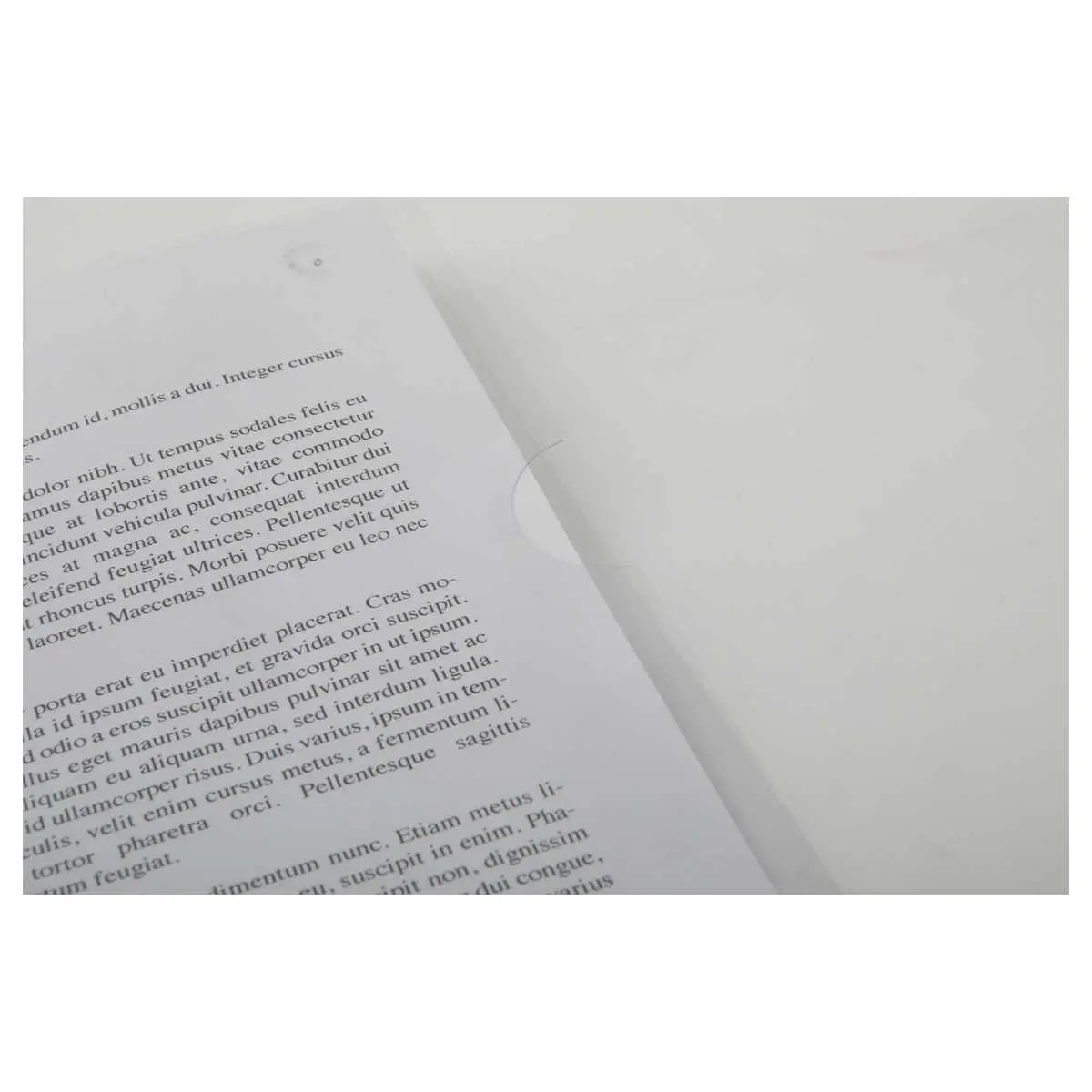 10 Hoekmappen FIDUCIAL in PVC 14/100