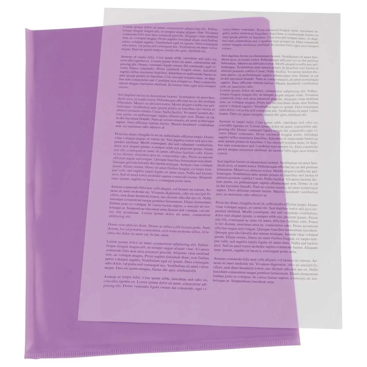 10 Hoekmappen FIDUCIAL in PVC 14/100