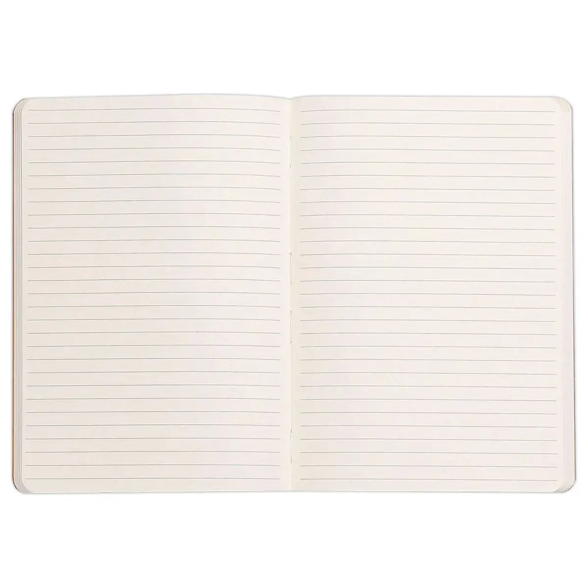 Ingenaaid schrift Rhodiarama - A5 - 160 pagina's - zwart - RHODIA 