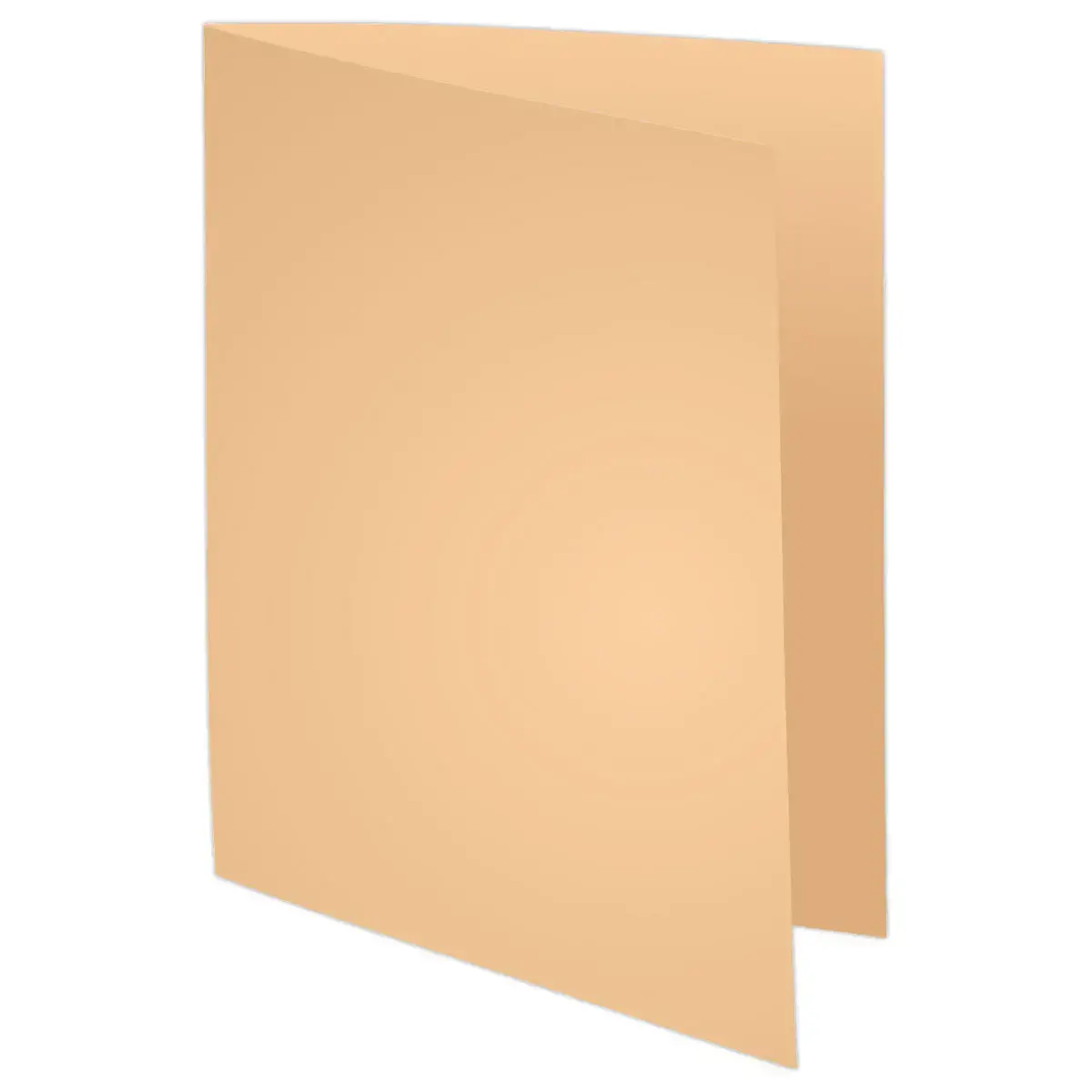 100  Inlegmappen 24 x 32cm Exacompta Forever gerecycleerd 170g 