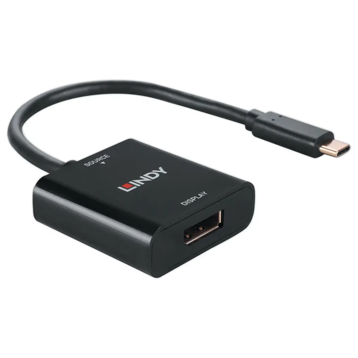 USB Type C naar DisplayPort 4K144 Converter - LINDY 