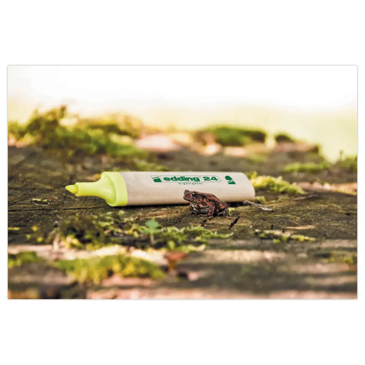 Markeerstift brede punt - ECOLINE E24 - geel - EDDING