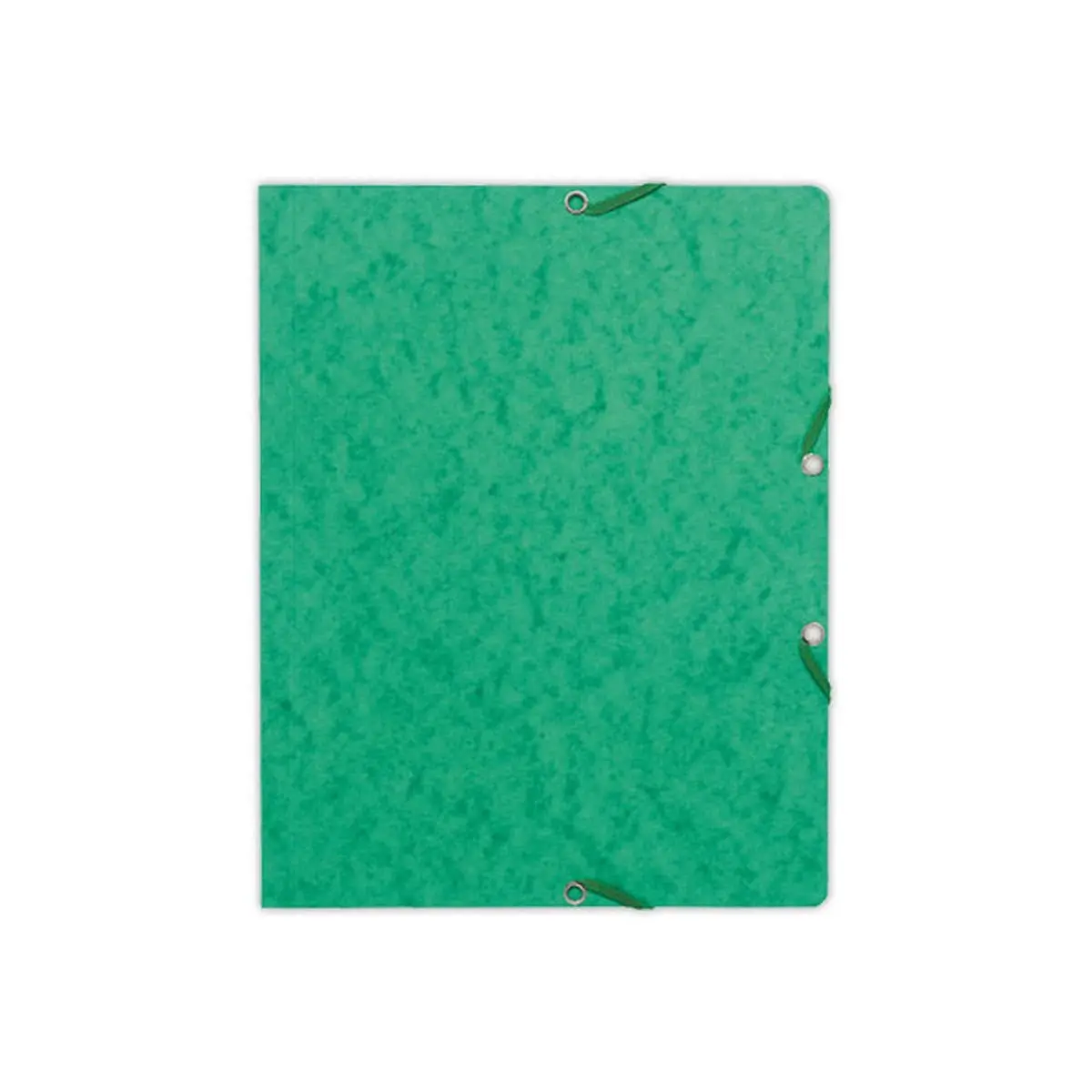 10  Mappen met elastiek zonder kleppen - kaart 360g - Groen - EXACOMPTA 