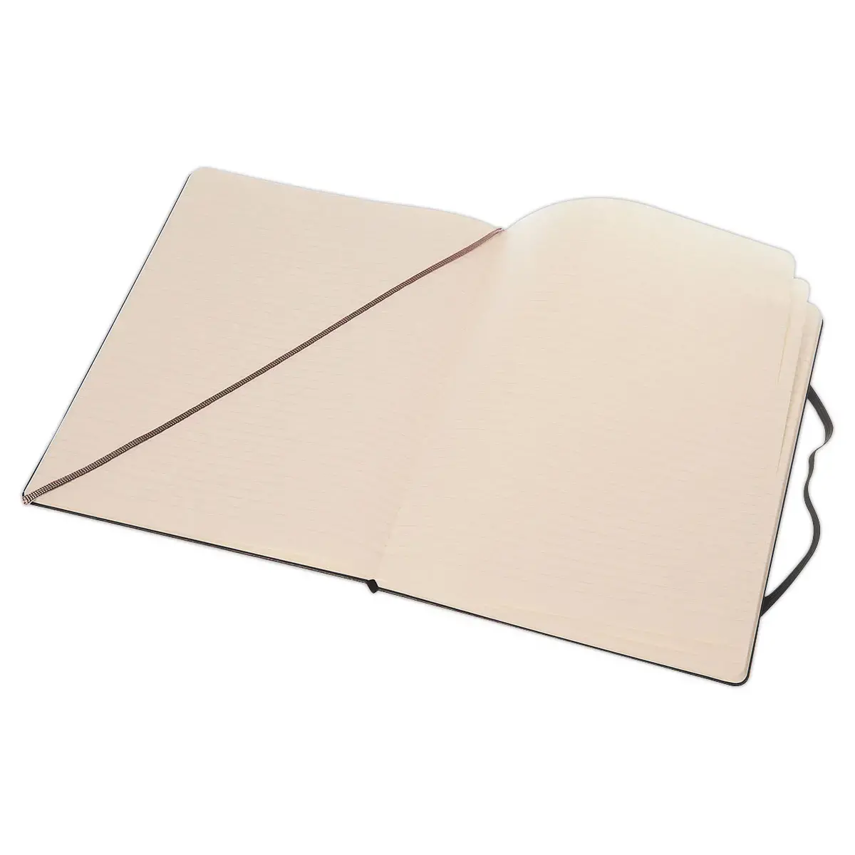 Cahier MOLESKINE XL HARDSHELL LIJN