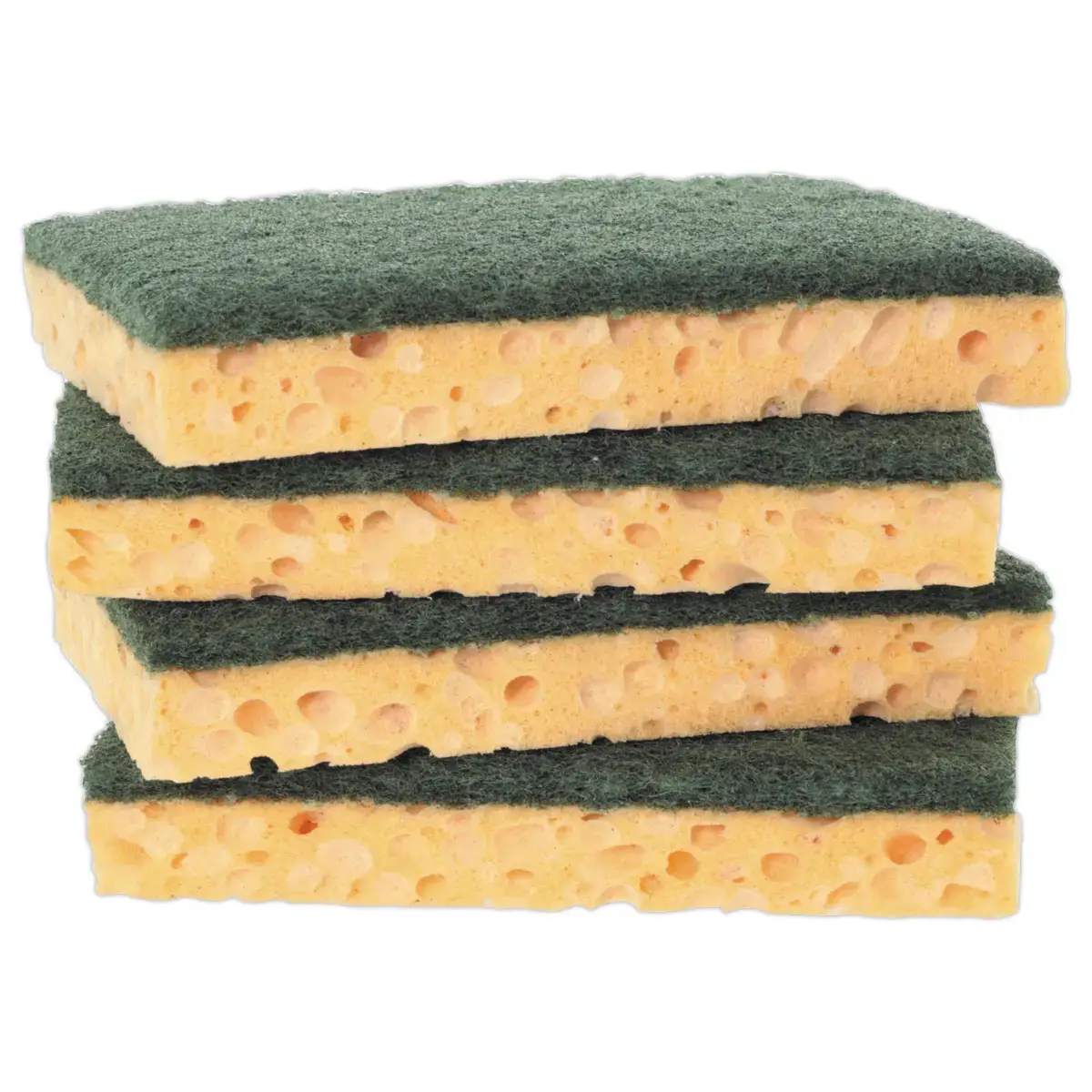 10 Schuursponzen - 12,7 x 8,9 cm - NICOLS