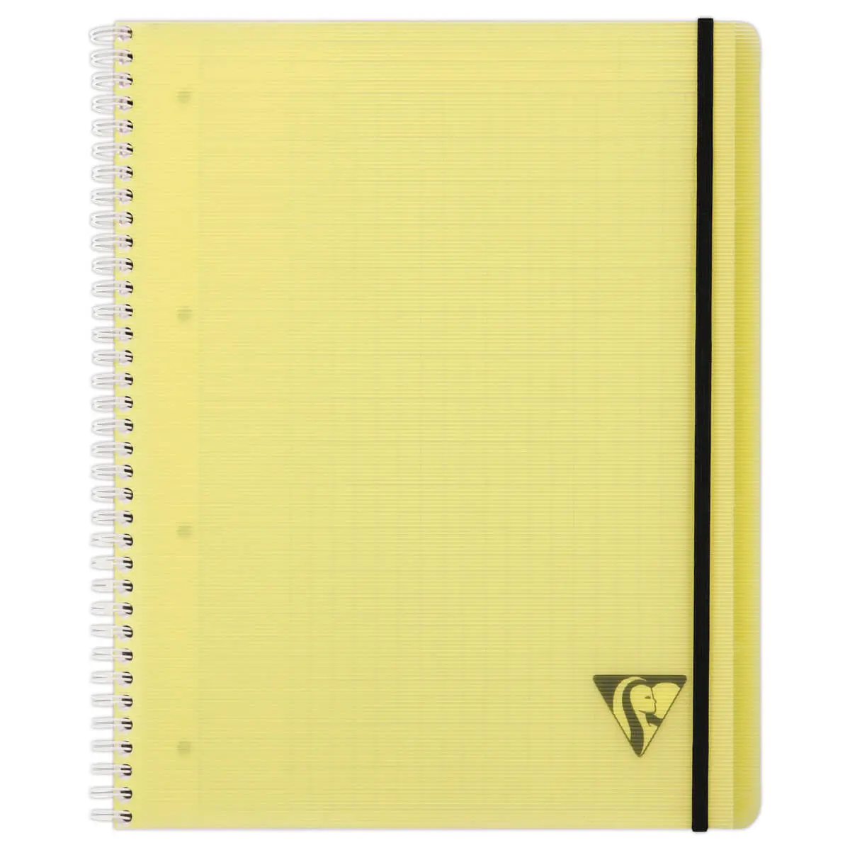 Spiraalschrift A5+ Proactiv'Book - 5 x5 - CLAIREFONTAINE