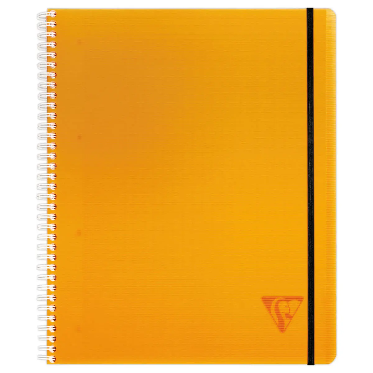 Spiraalschrift A5+ Proactiv'Book - 5 x5 - CLAIREFONTAINE