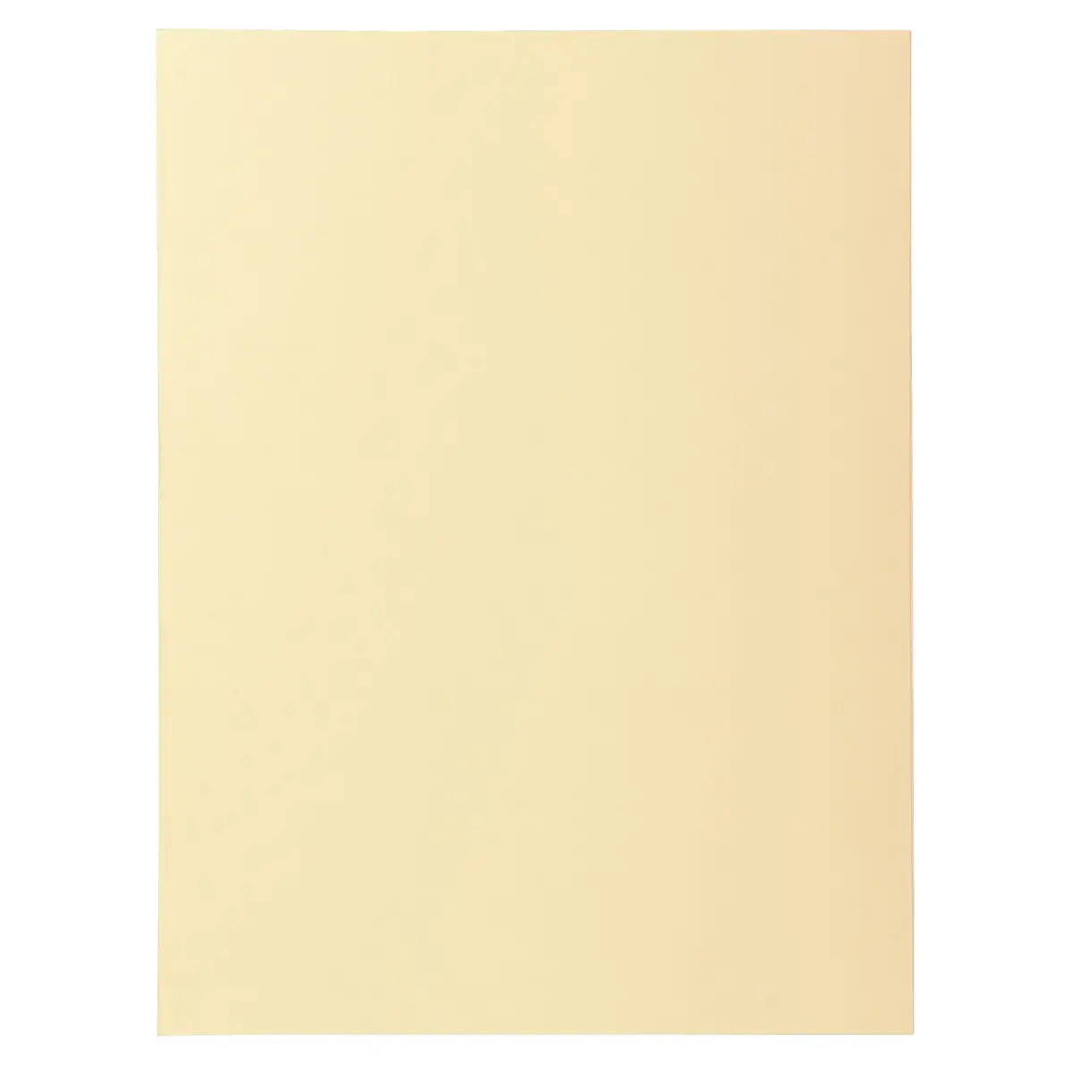 100 mapjes 24 x32 cm "Super 210" Exacompta