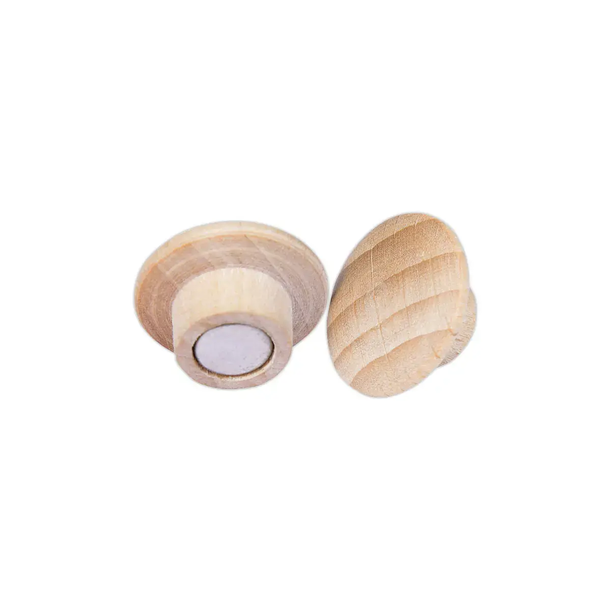 5 Ronde magneten Wooden - Ø 25 mm - FSC®-hout - LEGAMASTER