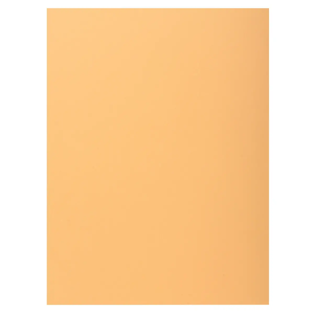 100 Hemdjes 1 flap 160 g kaart van hoge kwaliteit PEFC - pastelkleuren