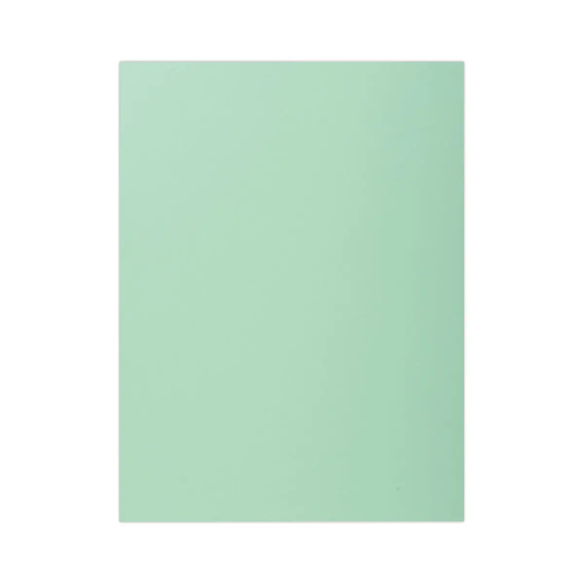 100 Hemdjes 1 flap 160 g kwaliteitskaart PEFC - pastelkleuren