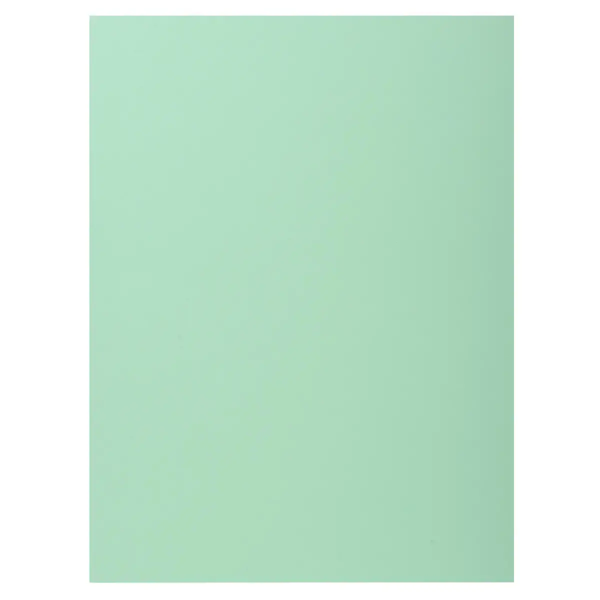 100  Hemdjes 1 flap 160 g kwaliteitskaart PEFC - pastelkleuren 