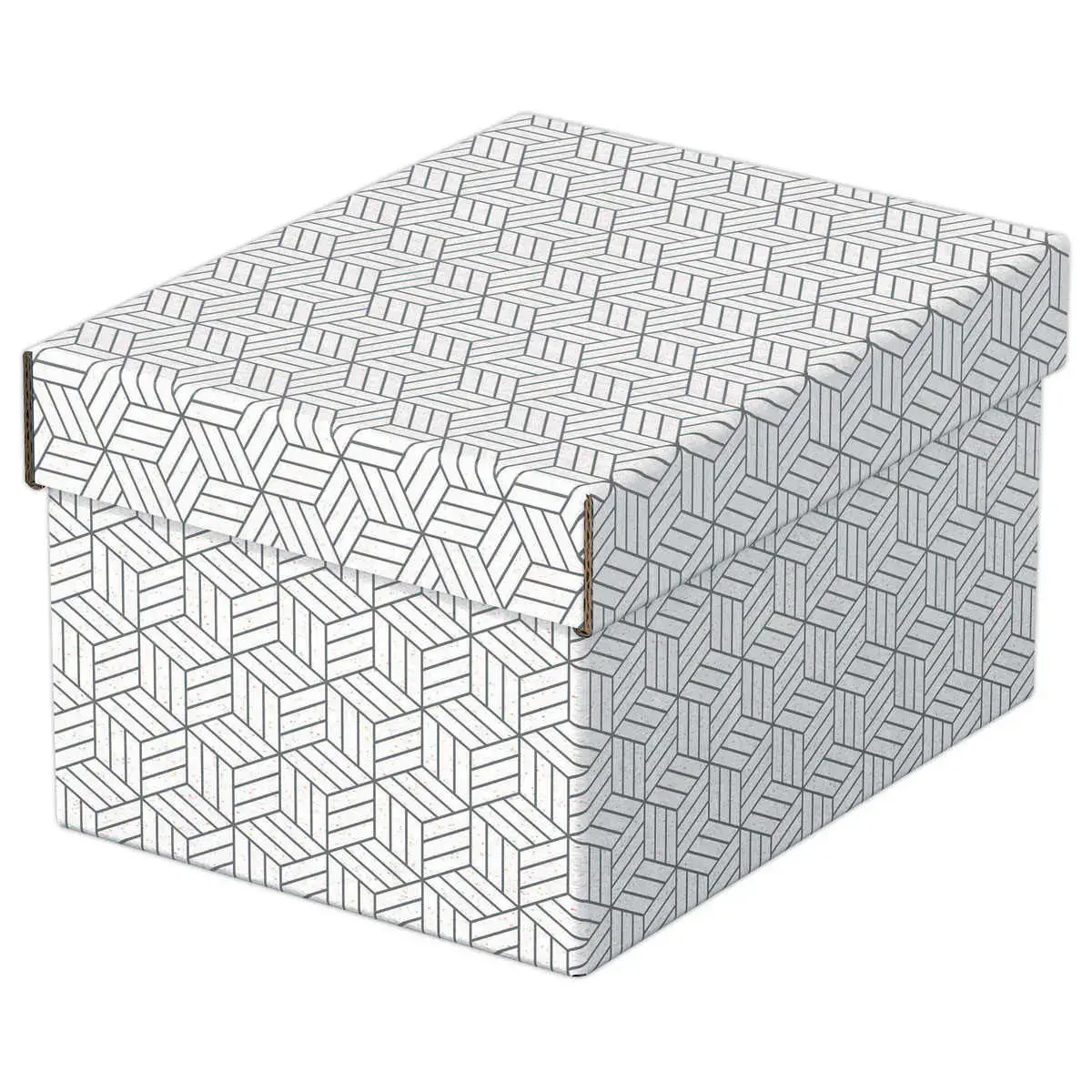 3  Opbergdozen Home - Maat S - Wit - ESSELTE 