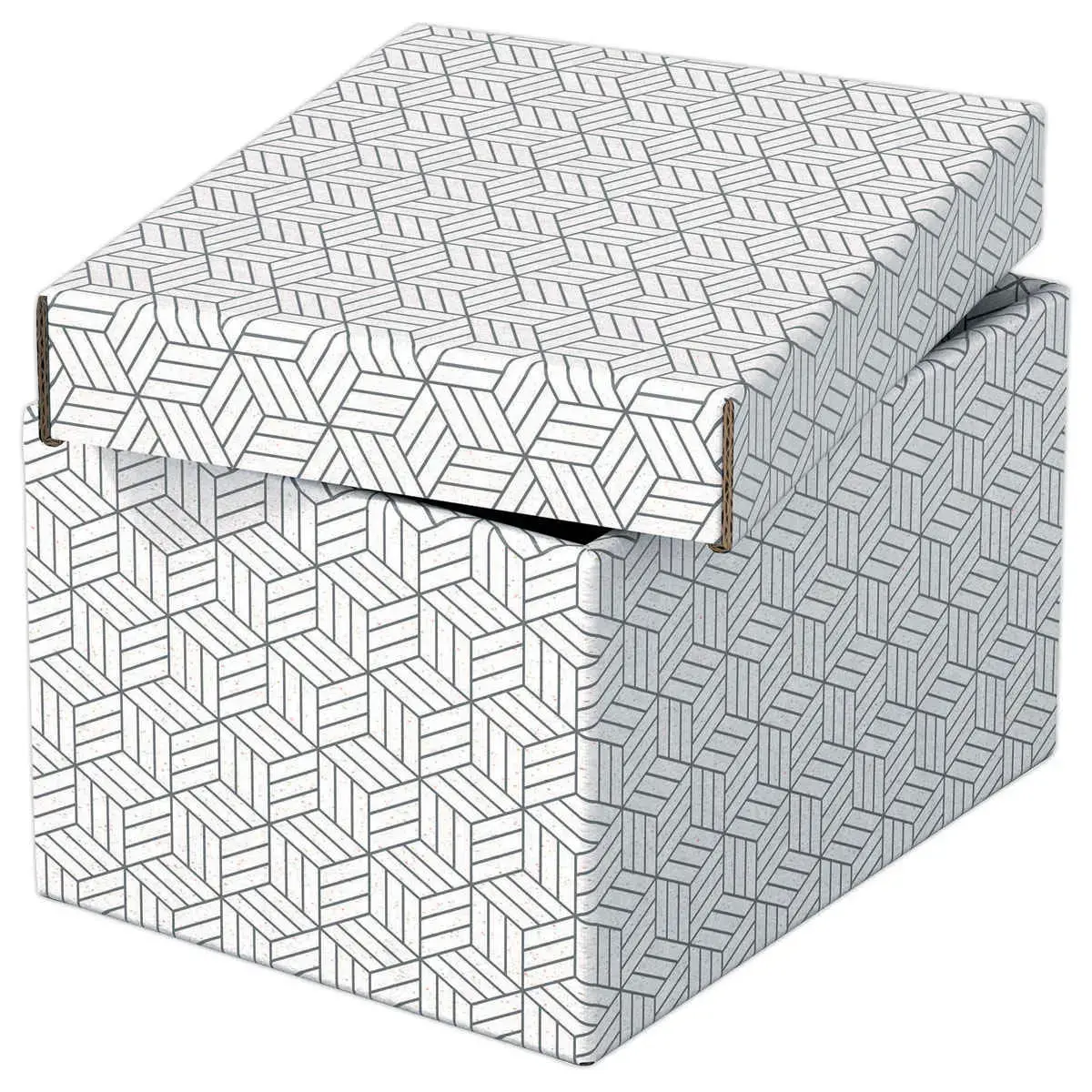 3  Opbergdozen Home - Maat S - Wit - ESSELTE 
