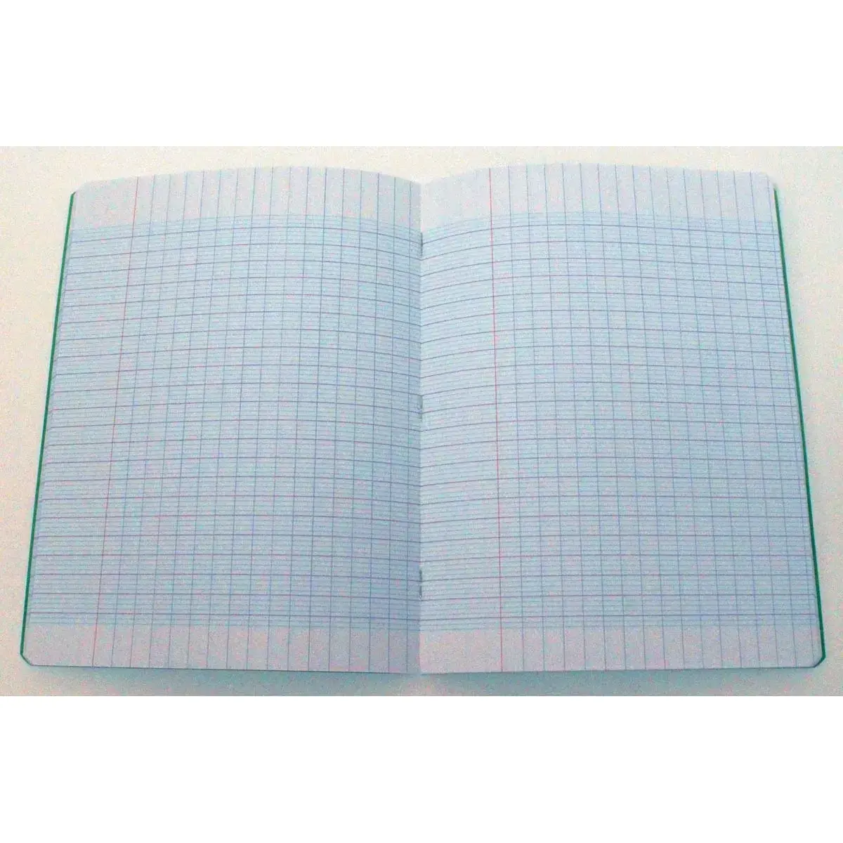 Polypropyleen schrift met nietjes 48 pagina's SEYES 90g 170x220 groen