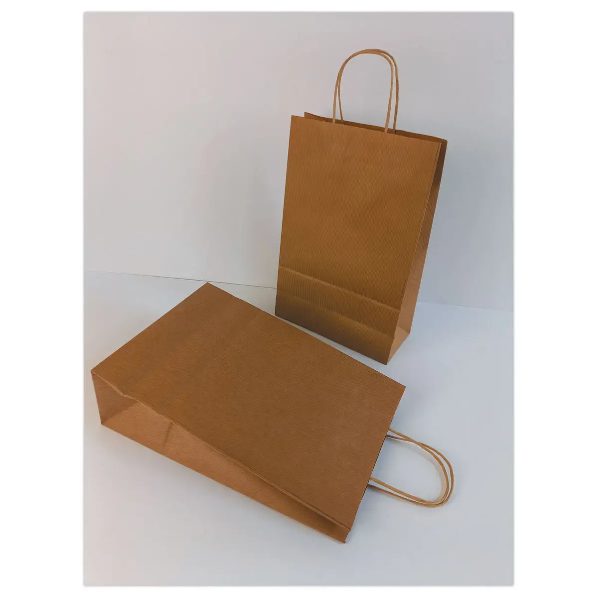 200 Tas met gedraaide handvatten middelgroot: 22 x 33 x 10 cm - Natuurlijk