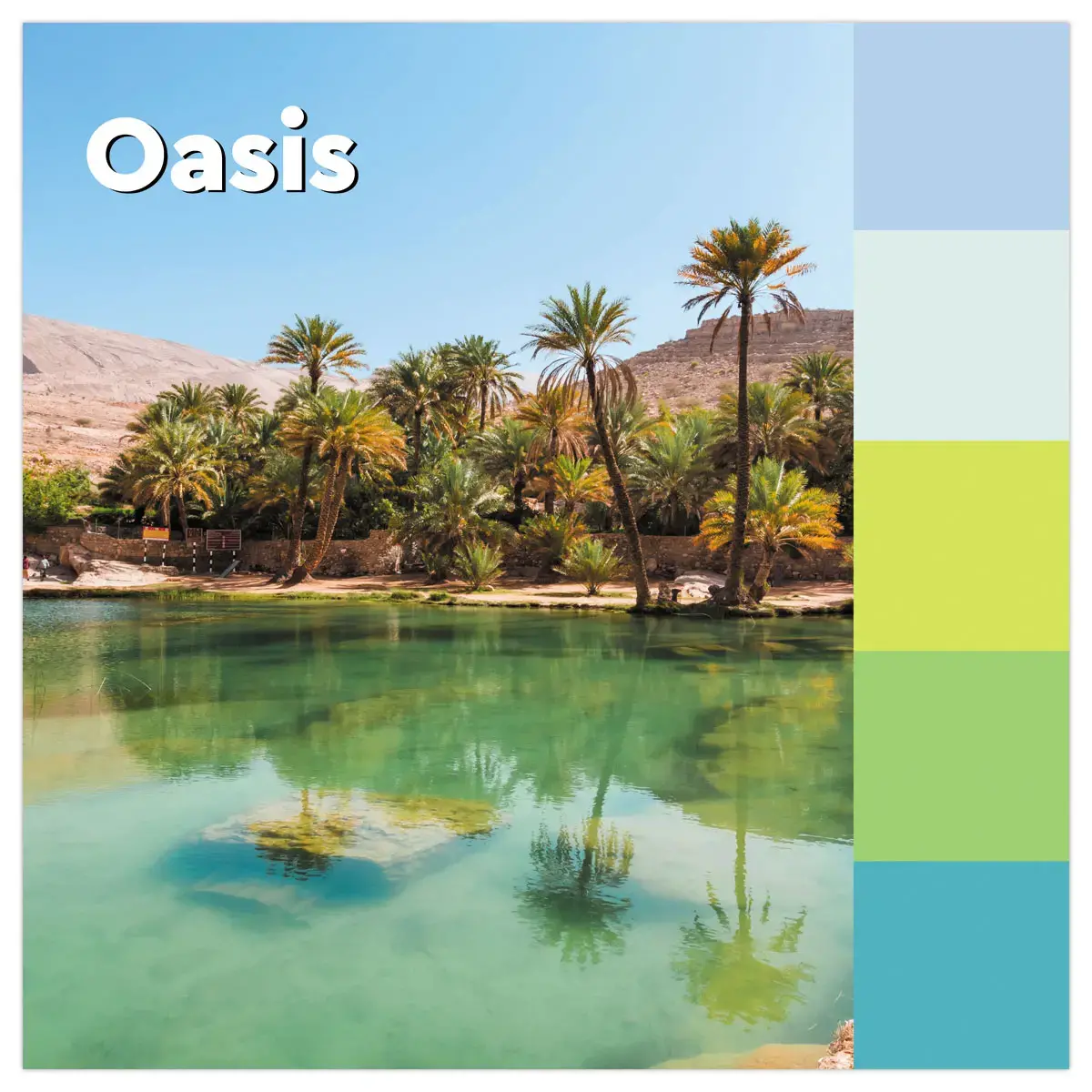 005 Super sticky memoblaadjes Collectie Oasis, 76 x 127 mm