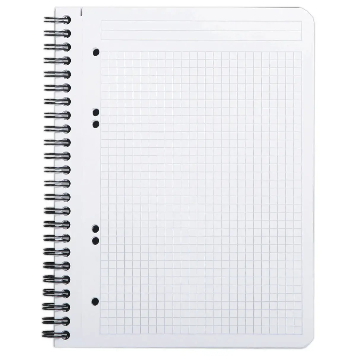 Polypropyleen schrift - 160 pagina's A5+ 5x5 - RHODIA 