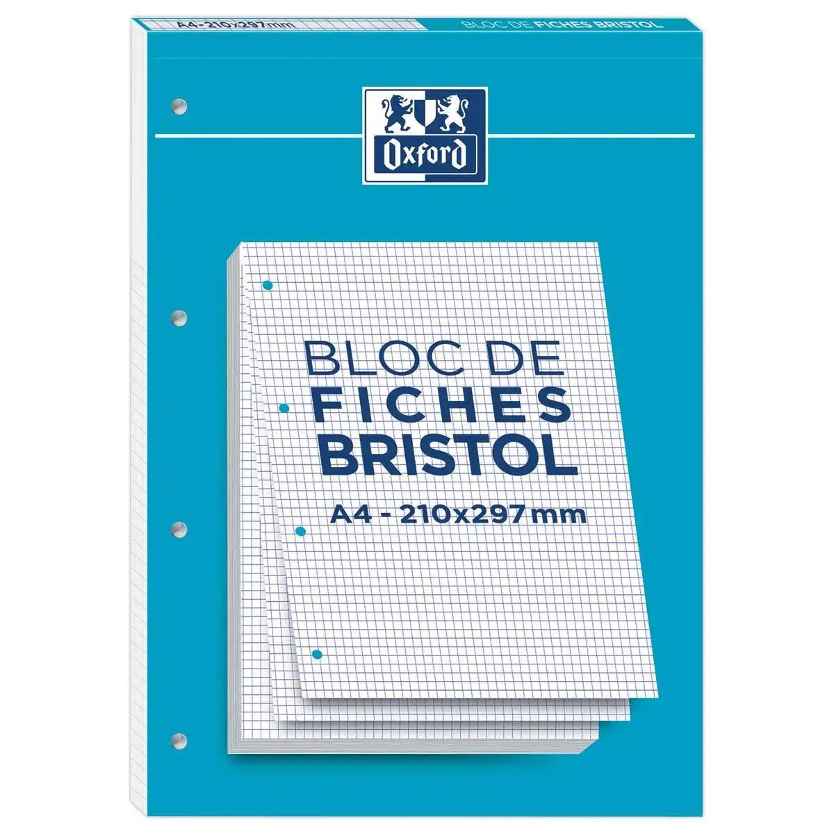 Blok van 30 bristolfiches wit A4 5x5