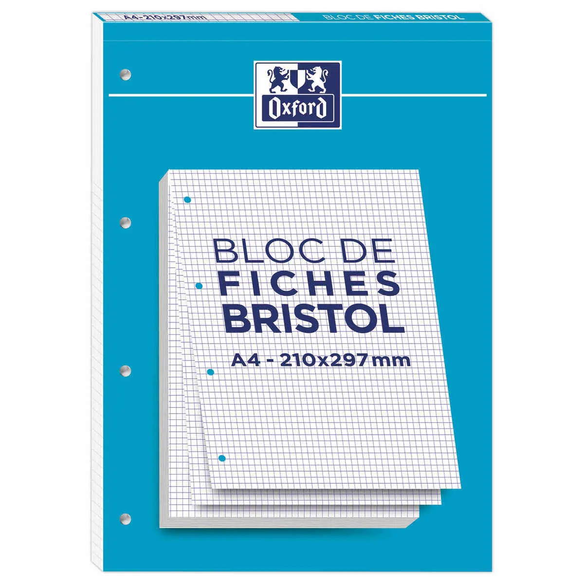Blok van 30 bristolfiches wit A4 5x5