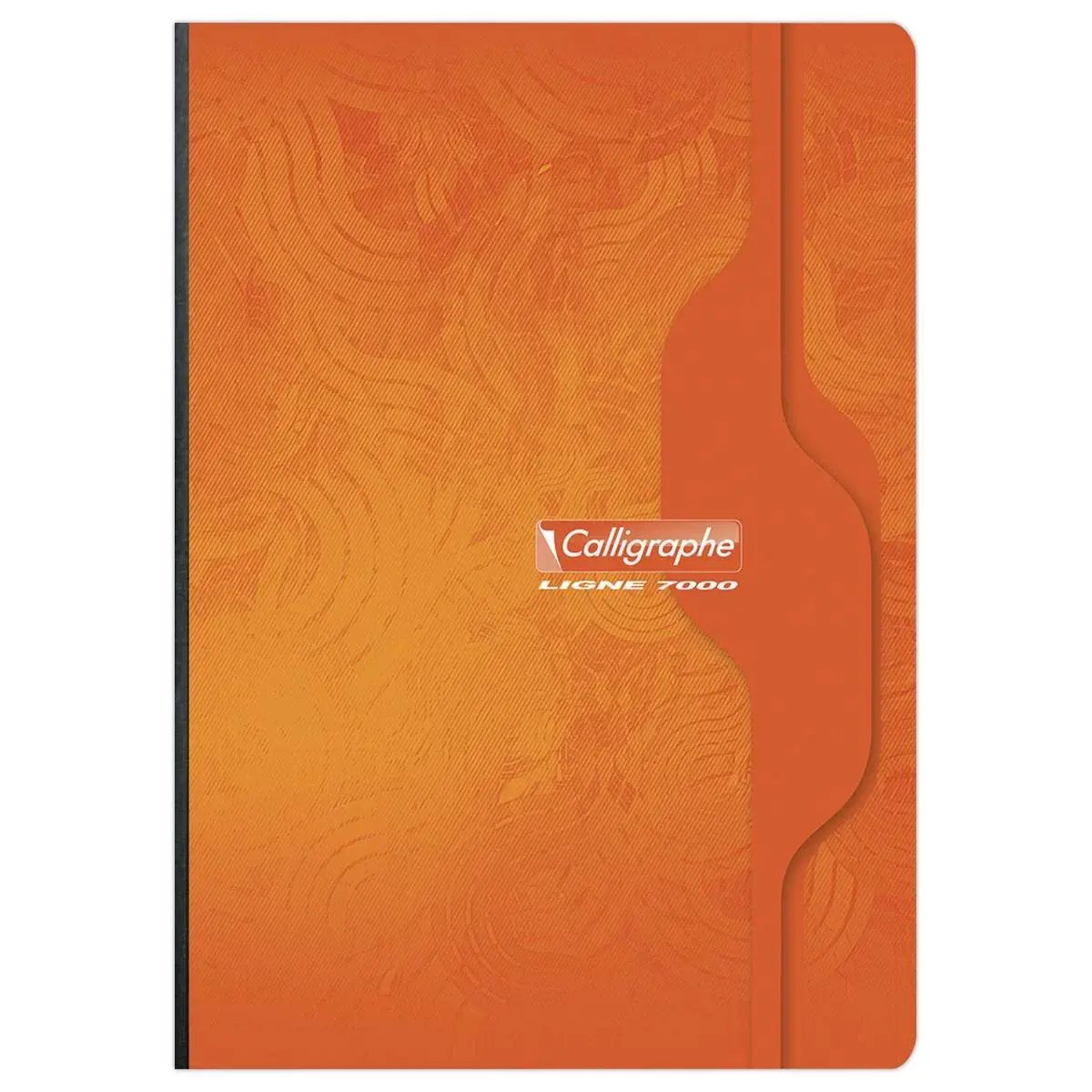 Ingenaaid schrift - 70g - A4 - 192 pagina's - 5X5 - CALLIGRAPHE
