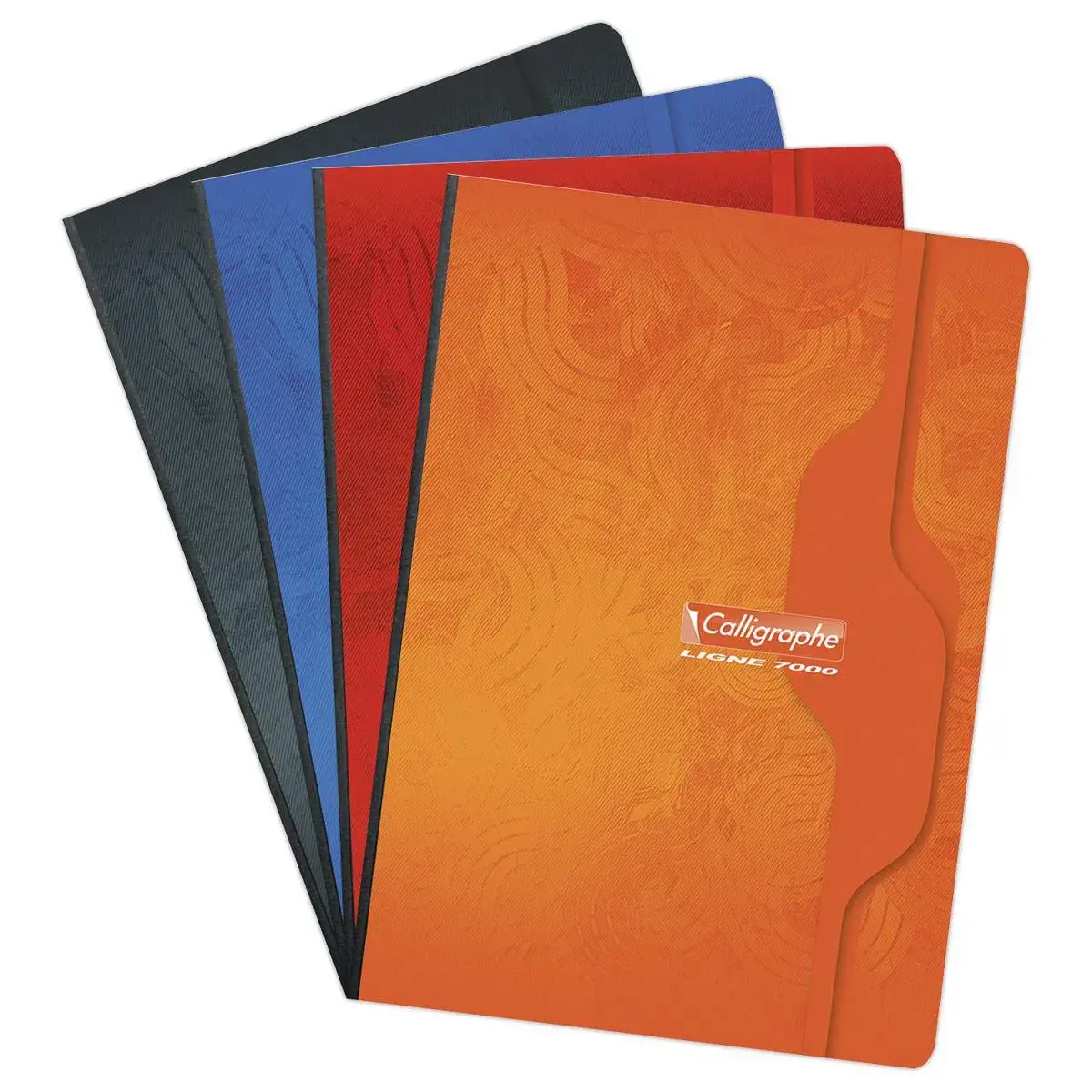 Ingenaaid schrift - 70g - A4 - 192 pagina's - 5X5 - CALLIGRAPHE