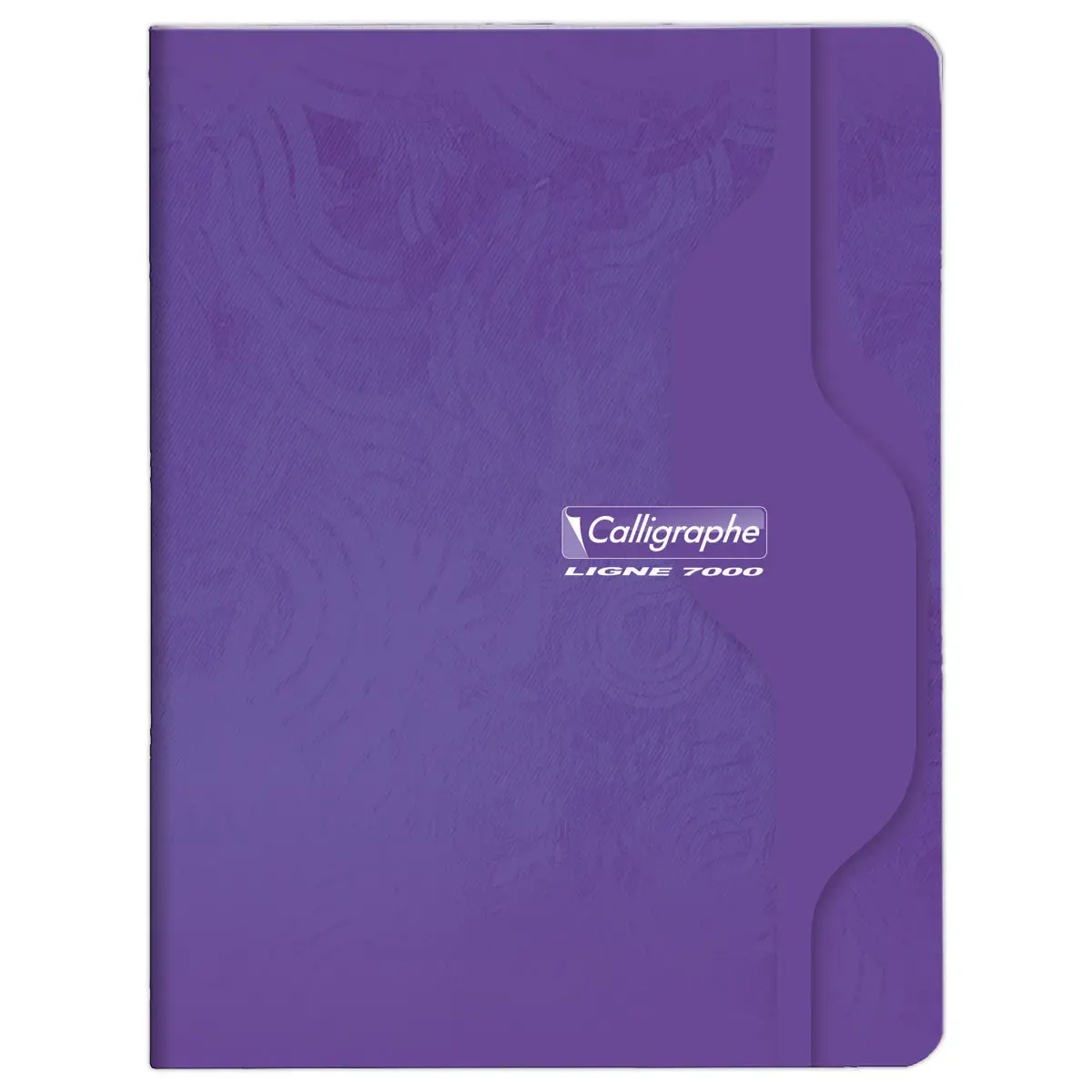 Gehechtd schrift Calligraphe 70g, 17x22 cm, 5x5, 96 pagina's