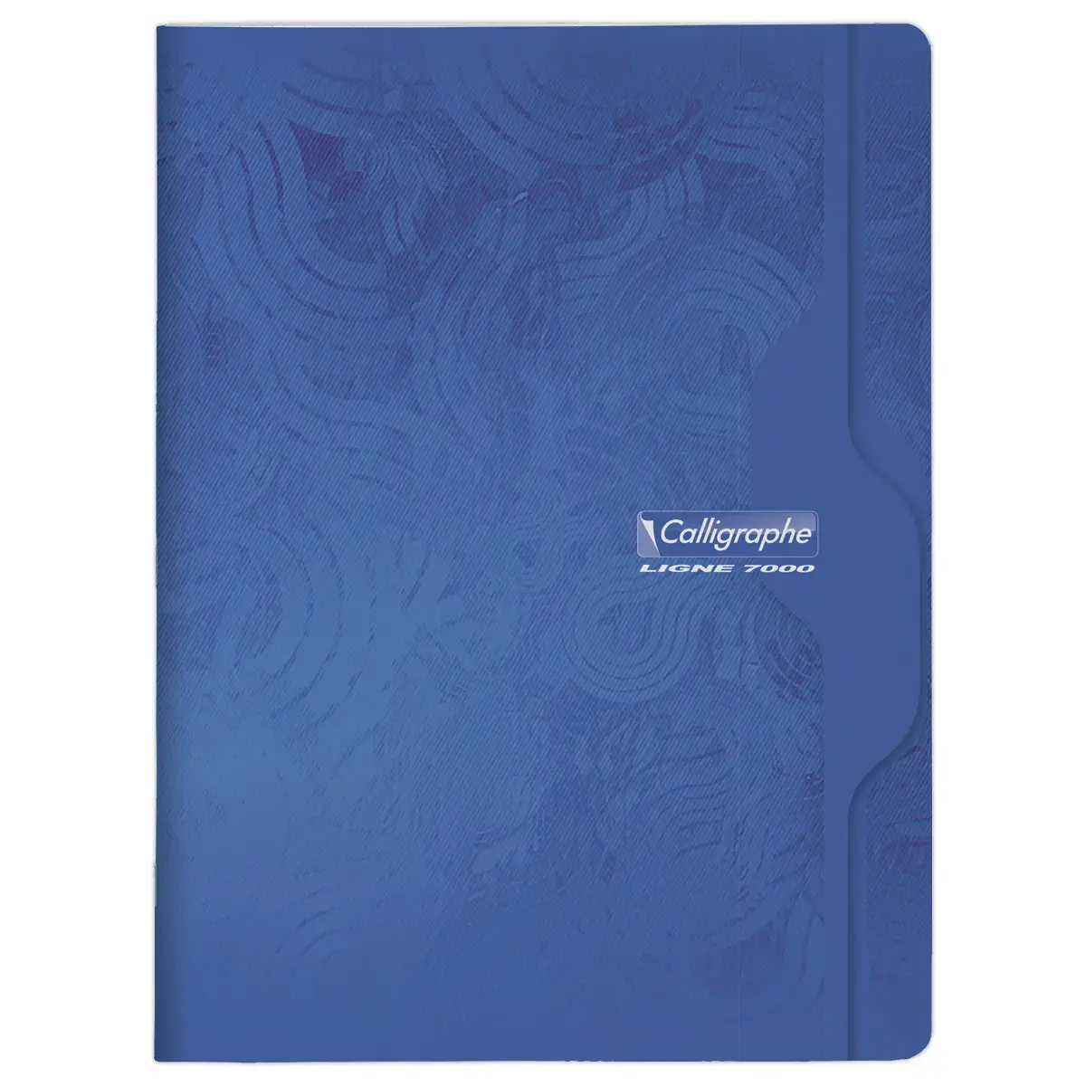 Geheugenboek Calligraphe 70g, 24x32 cm, 5x5, 96 pagina's