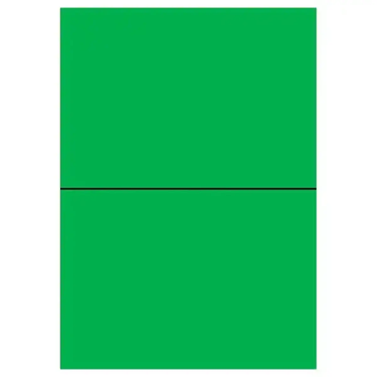 100  Etikettenbladen L210xH148,5 mm 200 etiketten/doos, felgroen 