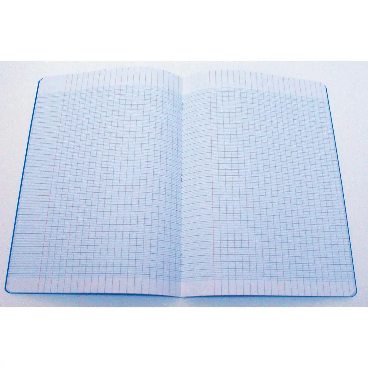 Polypropyleen schrift genaaid 96 pagina's SEYES 210x297 90g blauw 