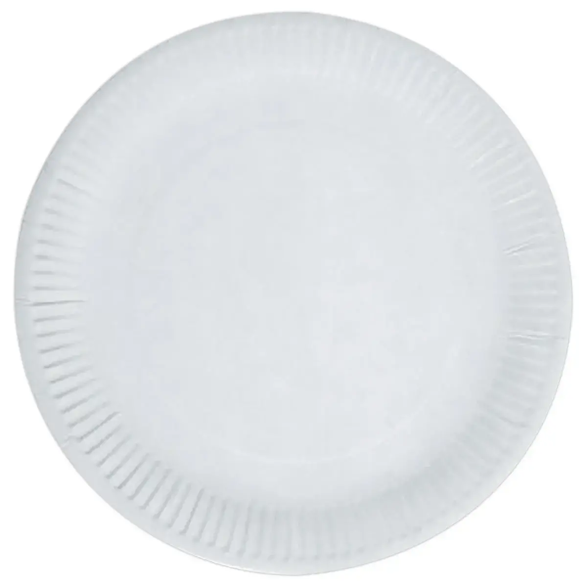 100 Kartonnen borden - 23 cm in diameter