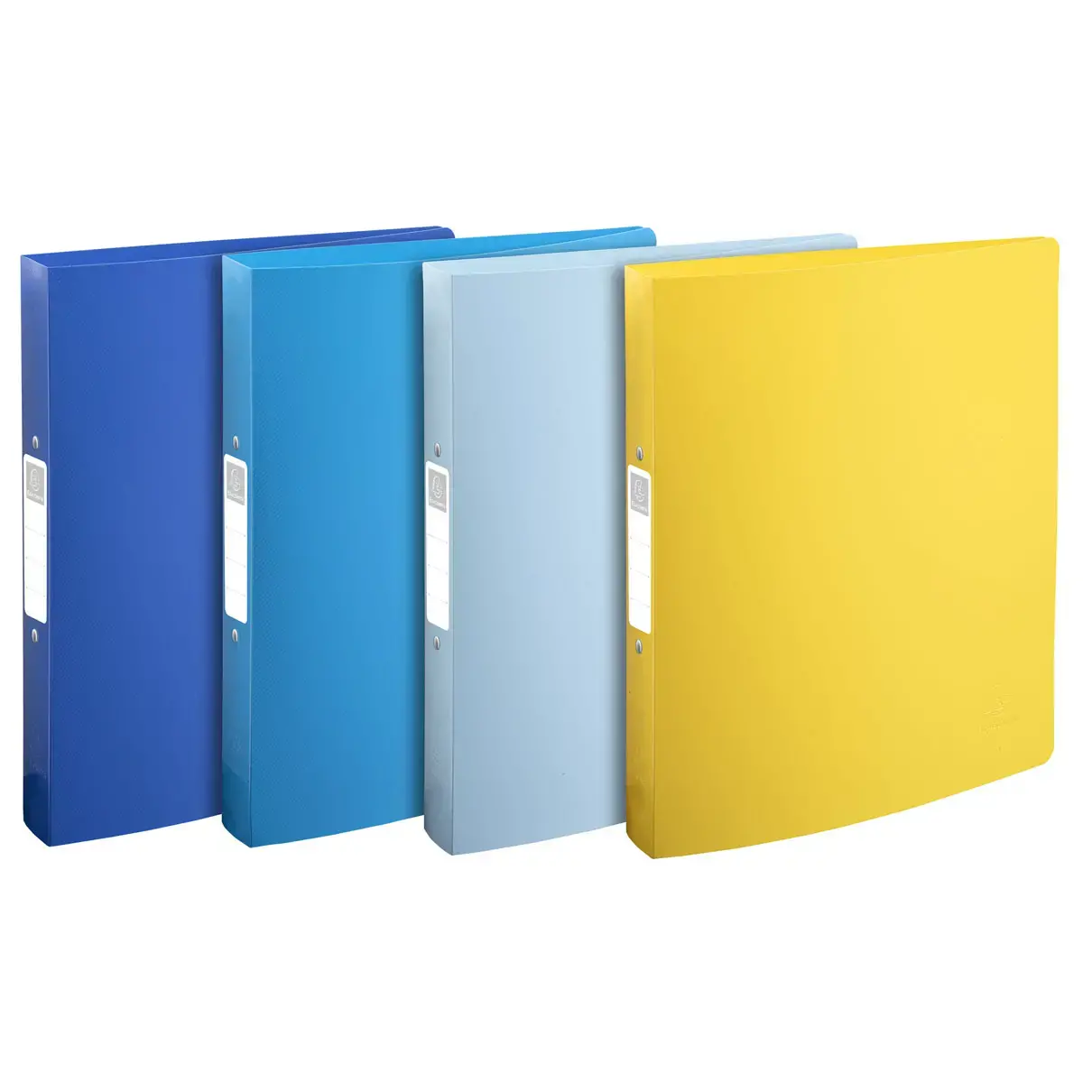 4  Ringband 2 ringen 3cm gerecycled PP BeeBlue - A4 Maxi - Assorti 