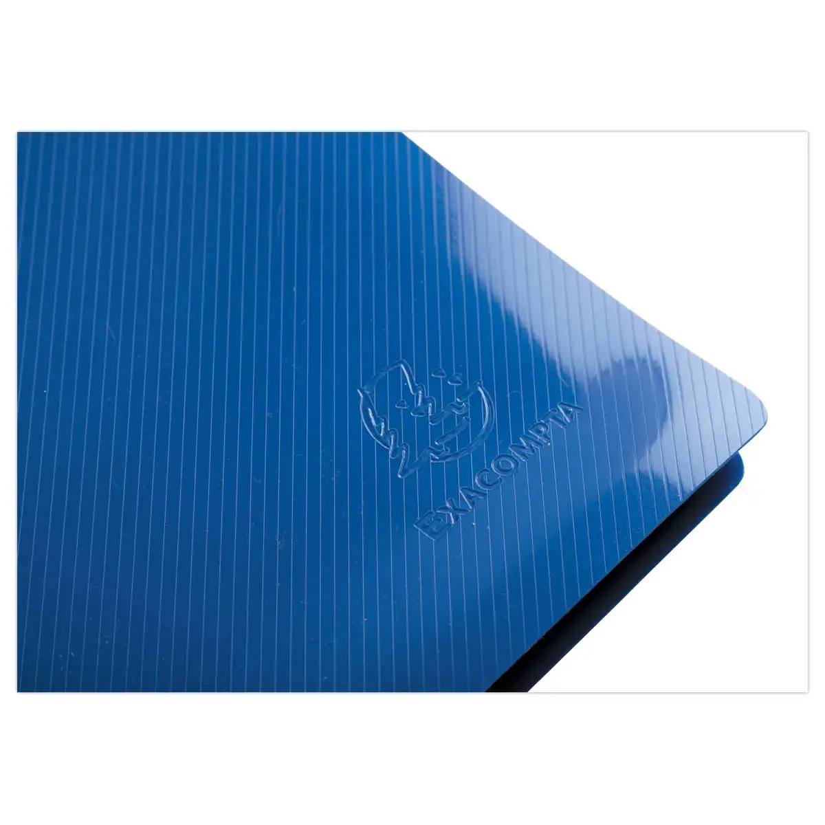 Documentenmap PP gerecycled semi-rigide BeeBlue 30 zakken