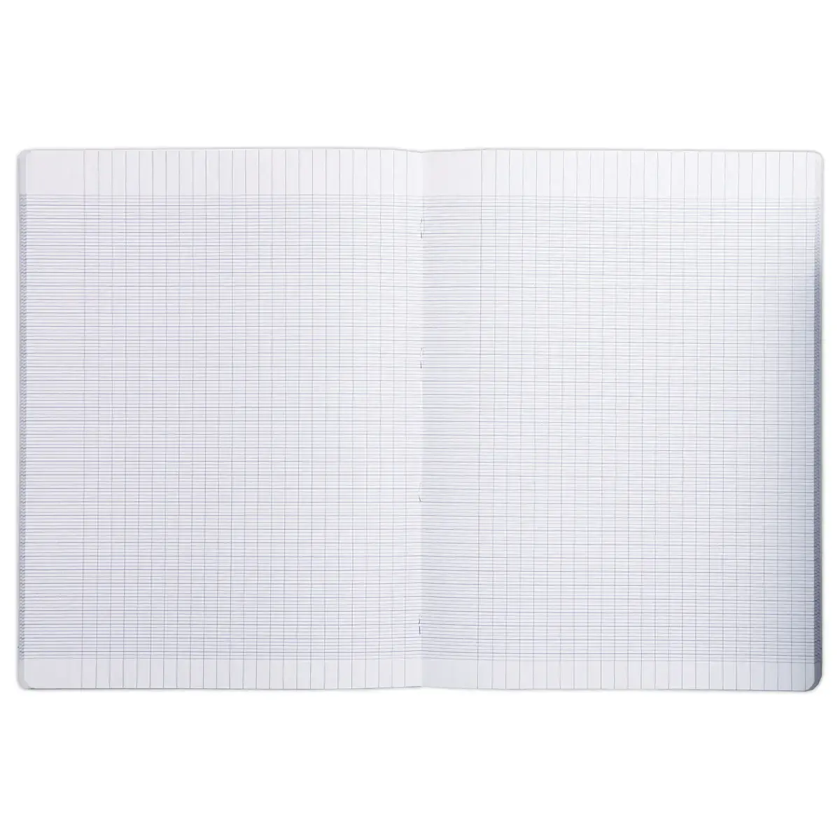 Gepunte schrift 24x32 cm 96 pagina's grote vakken - willekeurige kleur