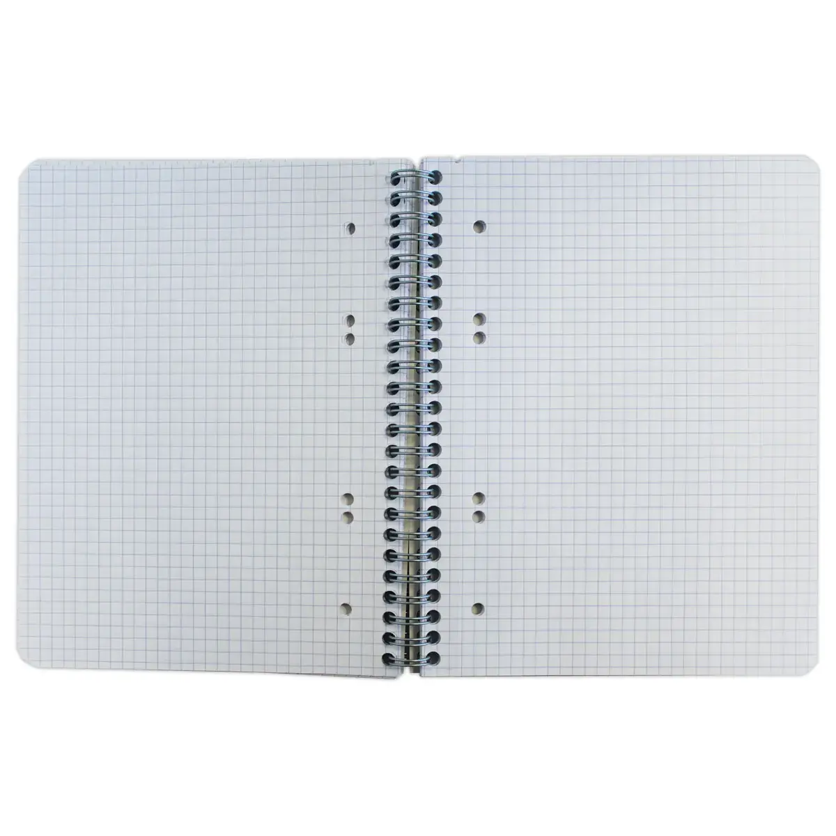 Spiraalschrift 70g - A5+ 5x5 - 160 pagina's - FIDUCIAL