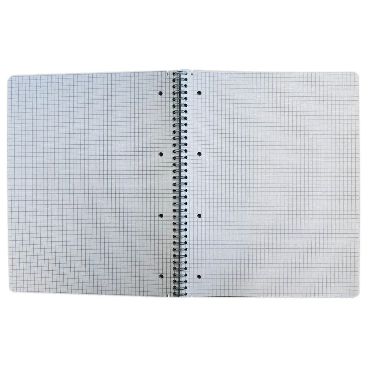 Spiraalschrift -  70g - A4+- 160 p - FIDUCIAL 