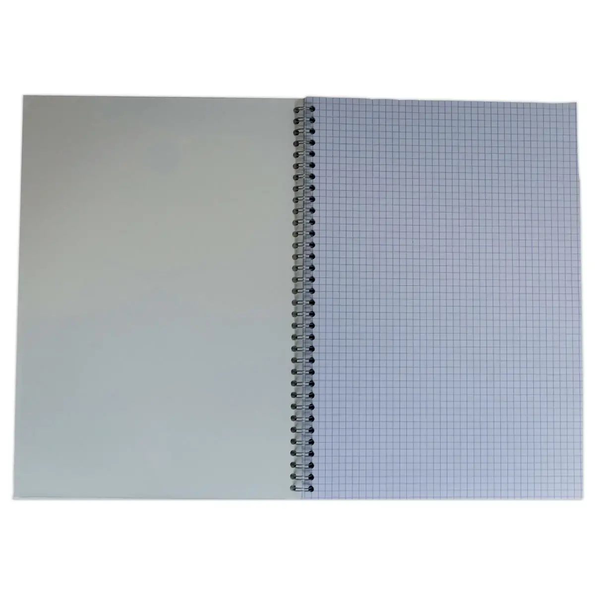 Spiraalnotitieboek FIDUCIAL 70g A4 21x29,7cm 100 pagina's gerecycled 