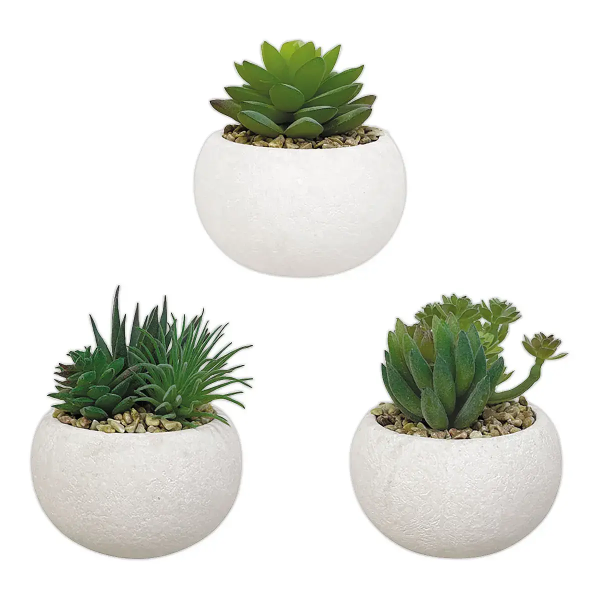 3 kunstmatige vetplanten