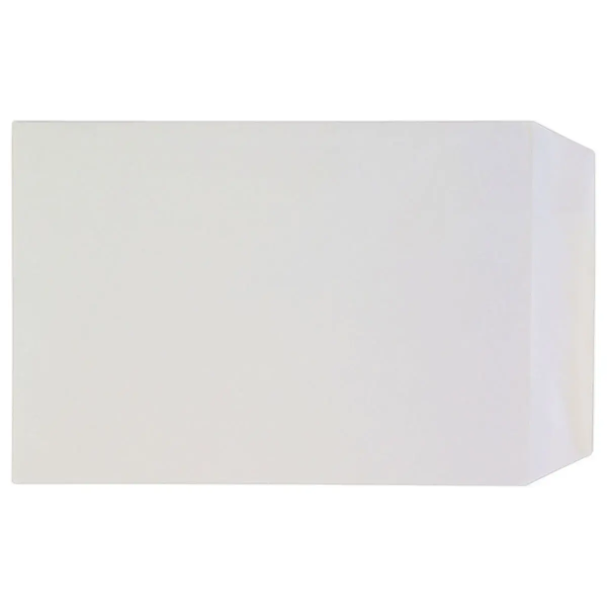 250 Witte enveloppen -90g - 229x324mm - zonder venster - GPV EVERY DAY