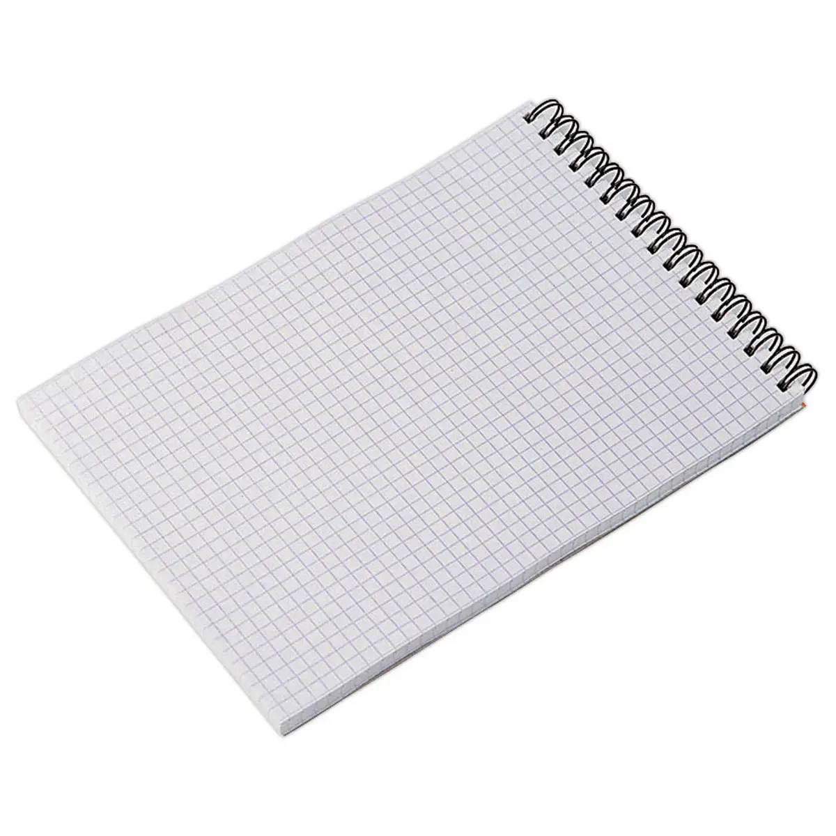 Notitieblok met spiraalbinding A4 - 5x5 - 80g - RHODIA