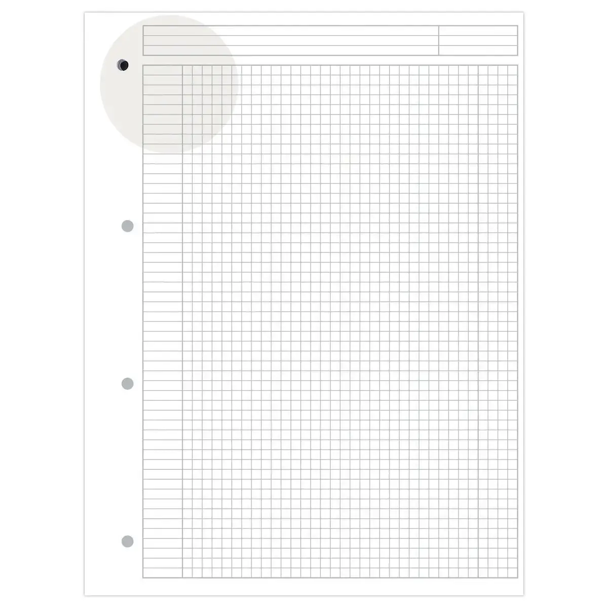 Notitieblok met spiraalbinding A5 - 5x5 - 80g - RHODIA