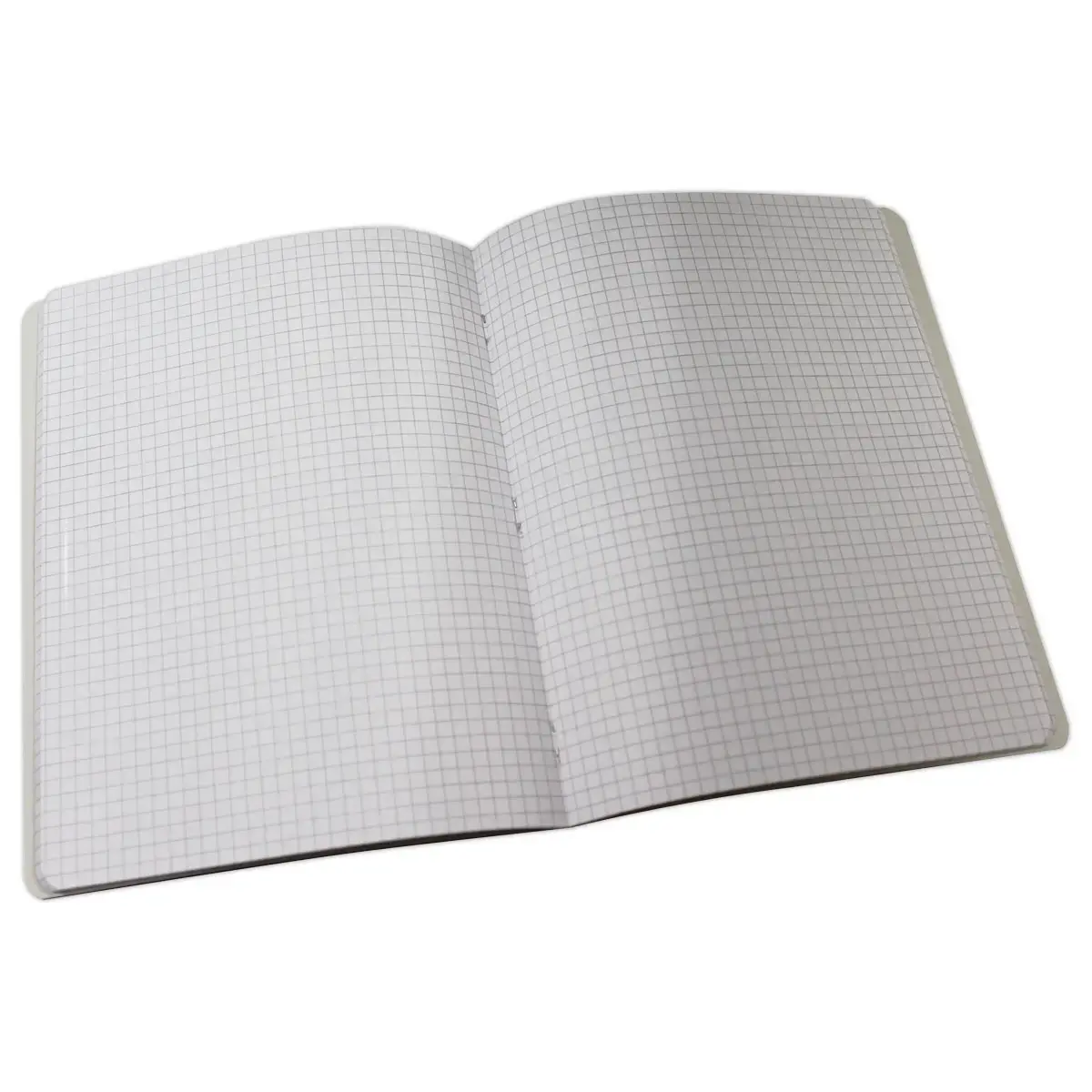 Geniet schrift - 17 x 22 cm - Geruit 5x5 - 96 pagina's - ACCESS