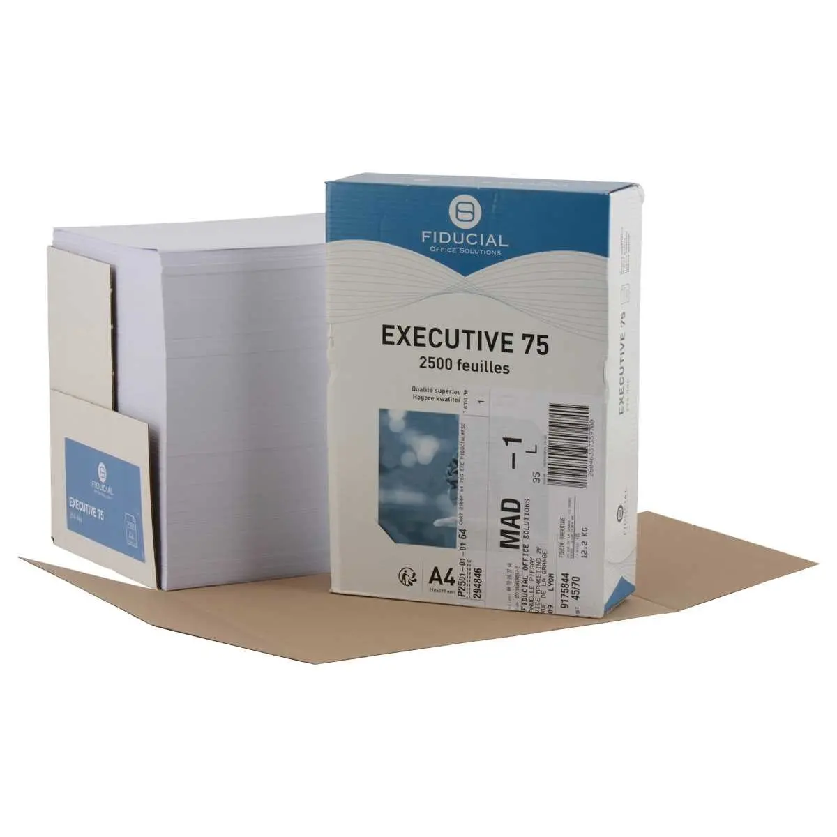 Riem van 2.500 vellen papier (grote riem) A4 Copy - FIDUCIAL 