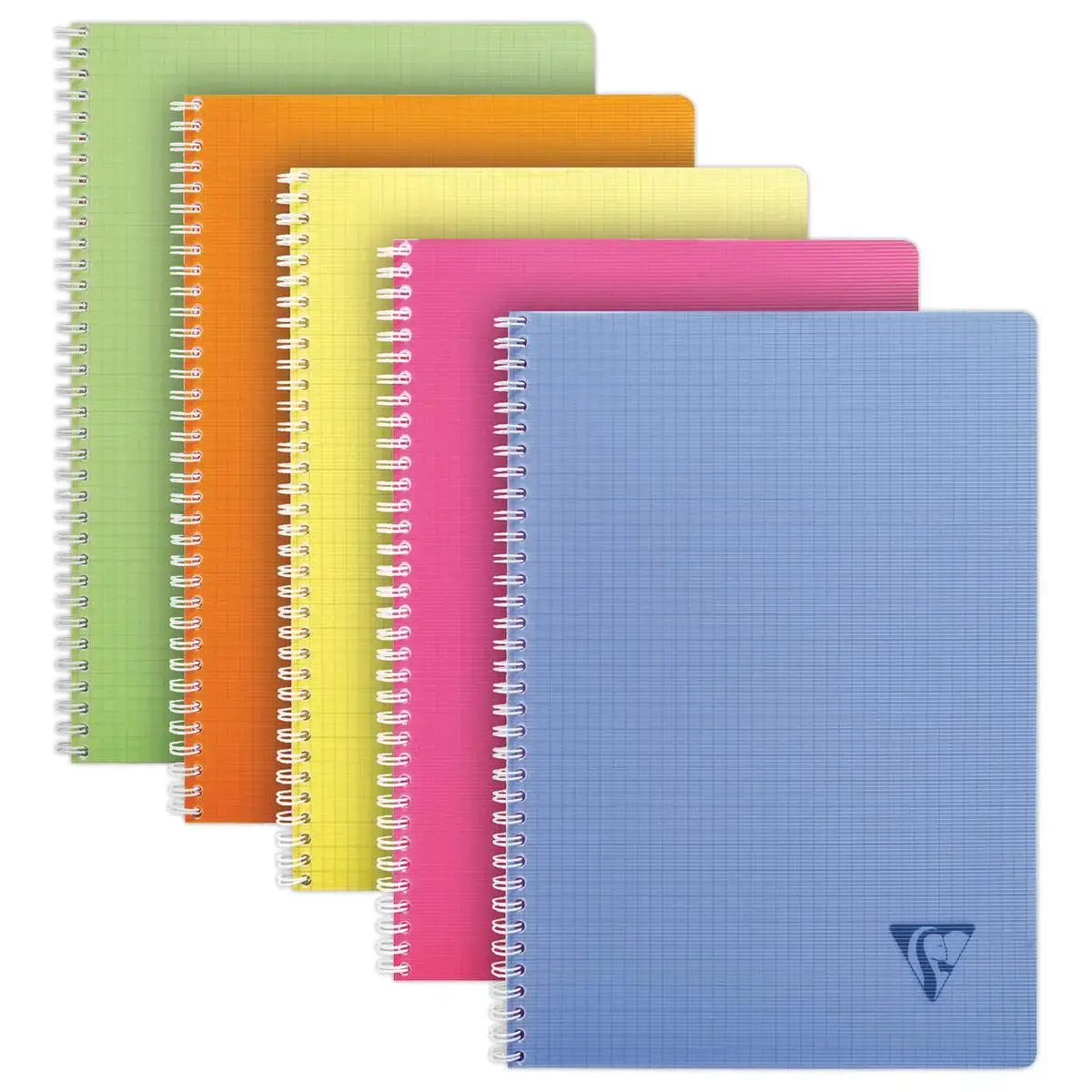 Spiraalschrift Linicolor A4 - 5x5 - 90g - 100 pagina's